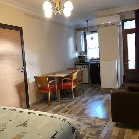 Apartment Metropol *